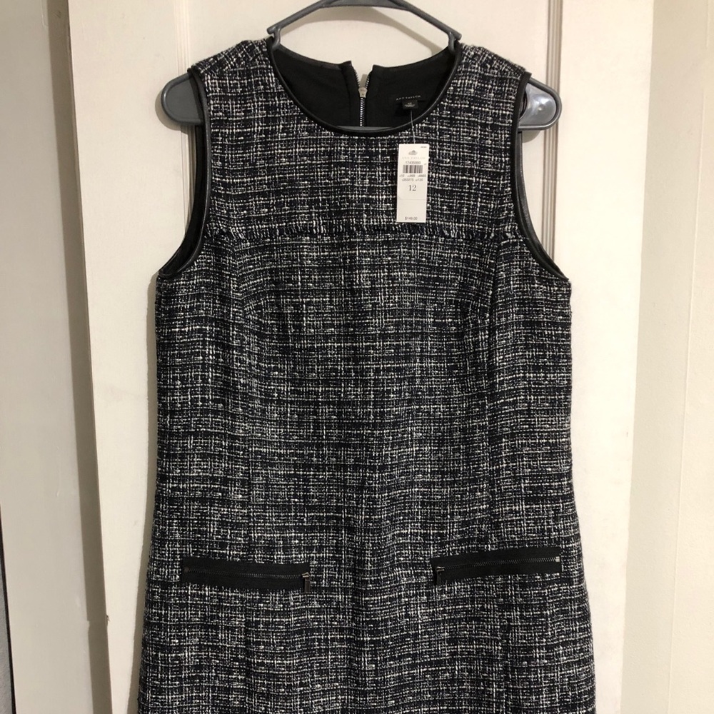 NWT Sleeveless Ann Taylor Dress